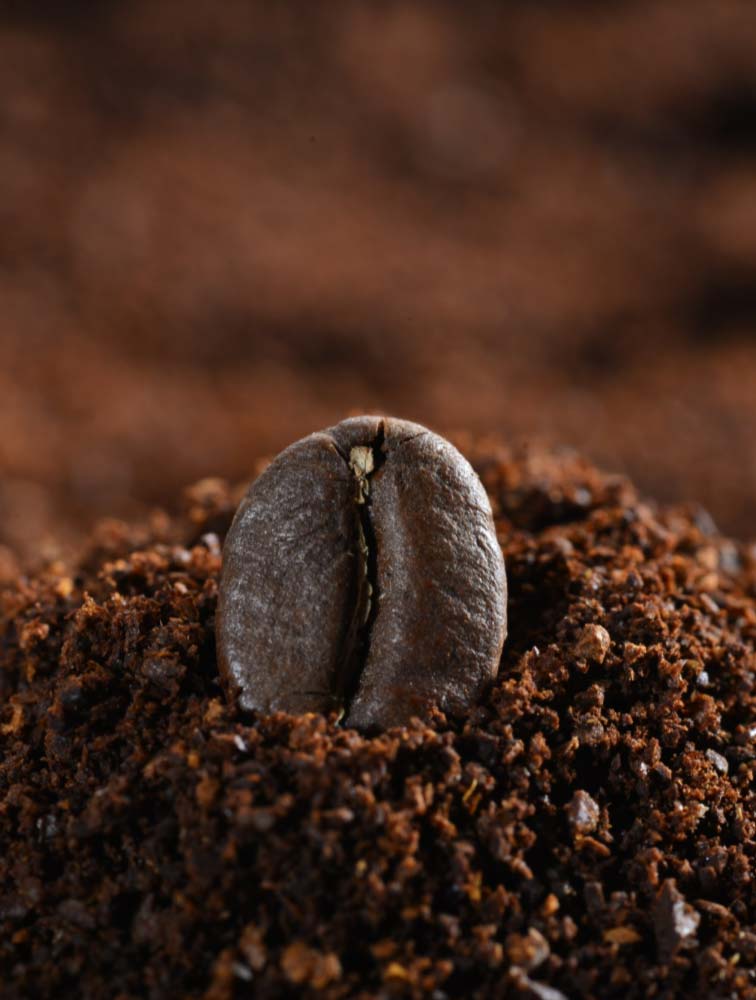 marc_de_café_caféine